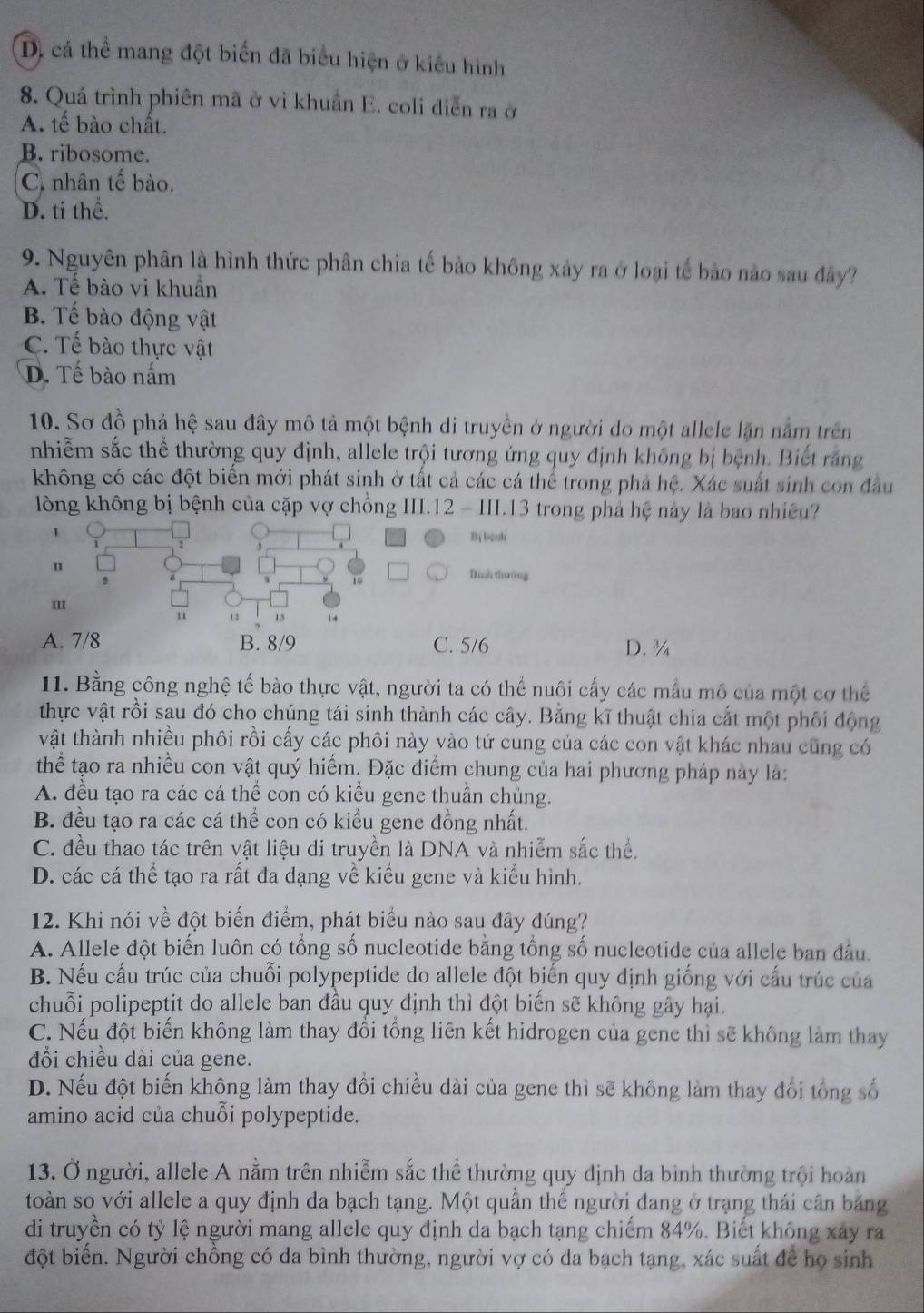 D. cá thể mang đột biển đã biểu hiện ở kiểu hình
8. Quá trình phiên mã ở vi khuẩn E. coli diễn ra ở
A. tế bào chất.
B. ribosome.
C. nhân tế bào.
D. ti the.
9. Nguyên phân là hình thức phân chia tế bào không xảy ra ở loại tế bảo nào sau đây?
A. Tề bào vi khuần
B. Tế bào động vật
C. Tế bào thực vật
D. Tế bào nấm
10. Sơ đồ phả hệ sau đây mô tả một bệnh di truyền ở người do một allele lặn năm trên
nhiễm sắc thể thường quy định, allele trội tương ứng quy định không bị bệnh. Biết răng
không có các đột biển mới phát sinh ở tất cả các cá thể trong phả hệ. Xác suất sinh con đầu
lòng không bị bệnh của cặp vợ chồng III.12 - III.13 trong phả hệ này là bao nhiều?
1
Bị bành
Dình thưởng
m
AC. 5/6 D. ¼
11. Bằng công nghệ tế bào thực vật, người ta có thể nuôi cấy các mẫu mô của một cơ thể
thực vật rồi sau đó cho chúng tái sinh thành các cây. Bằng kĩ thuật chia cất một phối động
vật thành nhiều phôi rồi cấy các phôi này vào tử cung của các con vật khác nhau cũng có
thể tạo ra nhiều con vật quý hiếm. Đặc điểm chung của hai phương pháp này là:
A. đều tạo ra các cá thể con có kiều gene thuần chủng.
B. đều tạo ra các cá thể con có kiểu gene đồng nhất.
C. đều thao tác trên vật liệu di truyền là DNA và nhiễm sắc thể.
D. các cá thể tạo ra rất đa dạng về kiểu gene và kiểu hình.
12. Khi nói về đột biến điểm, phát biểu nào sau đây đúng?
A. Allele đột biến luôn có tổng số nucleotide bằng tổng số nucleotide của allele ban đầu.
B. Nếu cấu trúc của chuỗi polypeptide do allele đột biến quy định giống với cấu trúc của
chuỗi polipeptit do allele ban đầu quy định thì đột biến sẽ không gây hại.
C. Nếu đột biến không làm thay đổi tổng liên kết hidrogen của gene thì sẽ không làm thay
đổi chiều dài của gene.
D. Nếu đột biến không làm thay đổi chiều dài của gene thì sẽ không làm thay đổi tổng số
amino acid của chuỗi polypeptide.
13. Ở người, allele A nằm trên nhiễm sắc thể thường quy định da bình thường trội hoàn
toàn so với allele a quy định da bạch tạng. Một quần thể người đang ở trạng thái cân băng
di truyền có tỷ lệ người mang allele quy định da bạch tạng chiểm 84%. Biết không xây ra
đột biển. Người chồng có da bình thường, người vợ có da bạch tạng, xác suất để họ sinh
