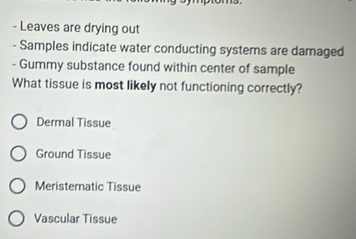 Leaves are drying out
- Samples indicate water conducting systems are damaged
- Gummy substance found within center of sample
What tissue is most likely not functioning correctly?
Dermal Tissue
Ground Tissue
Meristematic Tissue
Vascular Tissue