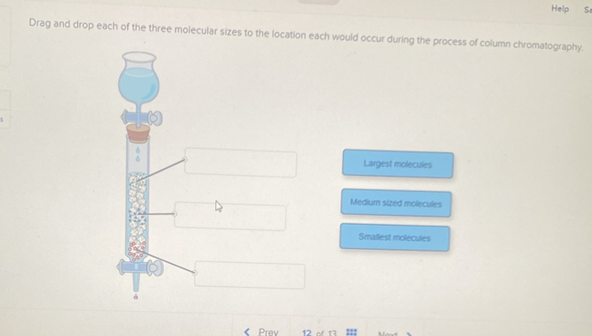 Help S
Drag and drop each of the three molecular sizes to the location each would occur during the process of column chromatography.
Largest molecules
Medium sized molecules
Smallest molecules
δ
Prev 12 of 13