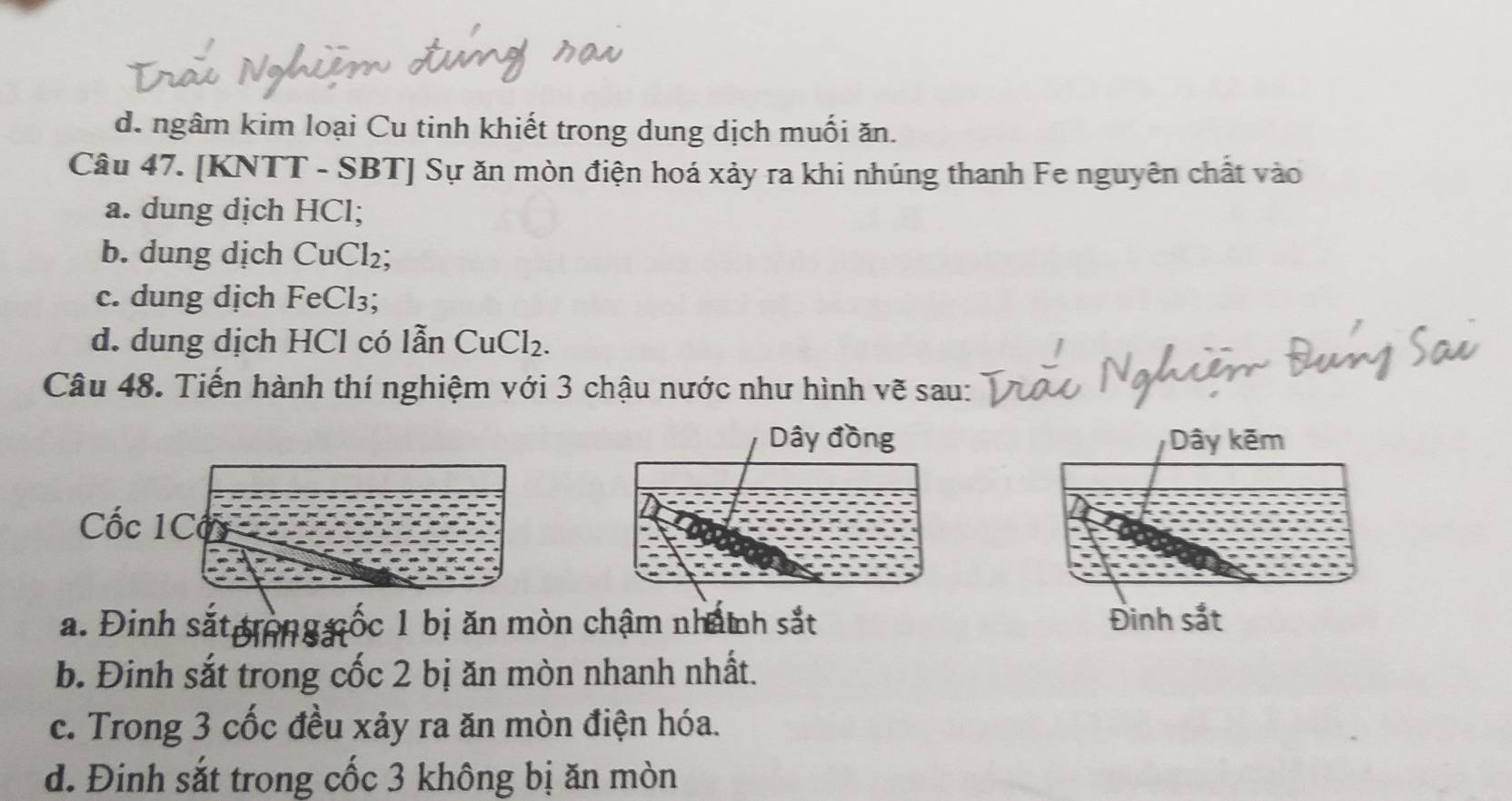 d. ngâm kim loại Cu tinh khiết trong dung dịch muối ăn.
Câu 47. [KNTT - SBT] Sự ăn mòn điện hoá xảy ra khi nhúng thanh Fe nguyên chất vào
a. dung dịch HCl;
b. dung dịch CuCl₂;
c. dung dịch FeCl₃;
d. dung dịch HCl có lẫn CuCl_2. 
Câu 48. Tiến hành thí nghiệm với 3 chậu nước như hình vẽ sau:
Dây đồng Dây kẽm
a. Đinh sắt rộngốc 1 bị ăn mòn chậm nhành sắt Đinh sắt
b. Đinh sắt trong cốc 2 bị ăn mòn nhanh nhất.
c. Trong 3 cốc đều xảy ra ăn mòn điện hóa.
d. Đinh sắt trong cốc 3 không bị ăn mòn