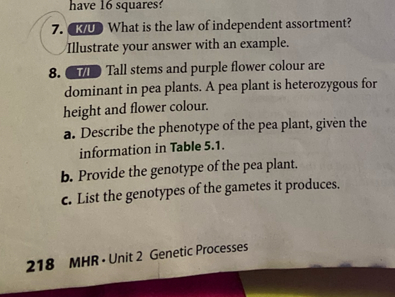 have 16 squares? 
7. U What is the law of independent assortment? 
Illustrate your answer with an example. 
8. ● Tall stems and purple flower colour are 
dominant in pea plants. A pea plant is heterozygous for 
height and flower colour. 
a. Describe the phenotype of the pea plant, given the 
information in Table 5.1. 
b. Provide the genotype of the pea plant. 
c. List the genotypes of the gametes it produces. 
218 MHR • Unit 2 Genetic Processes