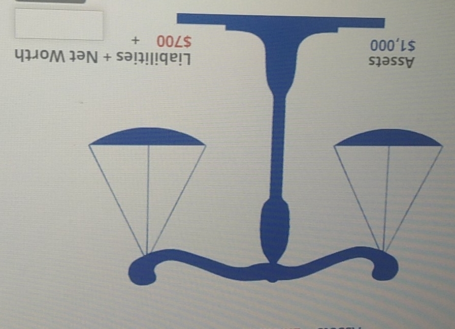 Assets Liabilities + Net Worth
$1,000
$700+