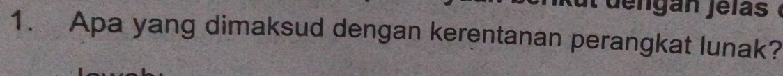 dengan jélas 
1. Apa yang dimaksud dengan kerentanan perangkat lunak?