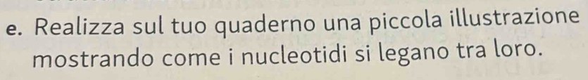 Realizza sul tuo quaderno una piccola illustrazione 
mostrando come i nucleotidi si legano tra loro.