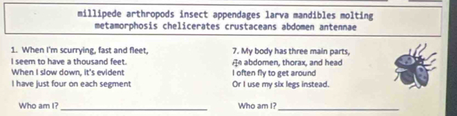 millipede arthropods insect appendages larva mandibles molting 
metamorphosis chelicerates crustaceans abdomen antennae 
1. When I'm scurrying, fast and fleet, 7. My body has three main parts, 
I seem to have a thousand feet. A abdomen, thorax, and head 
When I slow down, it's evident I often fly to get around 
I have just four on each segment Or I use my six legs instead. 
__ 
Who am I? Who am I?