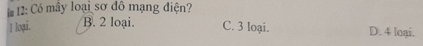 12: Có mây loại sơ đô mạng điện?
I loại. B. 2 loại.
C. 3 loại. D. 4 loại.