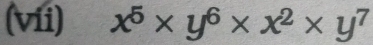 (vii) x^5* y^6* x^2* y^7