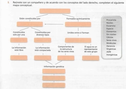 Reúnete con un compañero y de acuerdo con los conceptos del lado derecho, completen el siguiente
mapa conceptual.
Procariota
Núcleo
Eucariota
Especie
Sin núcleo Elementos Células
Seres vivos
Moléculas
Herencia Orgánicas
ADN
norgânicas