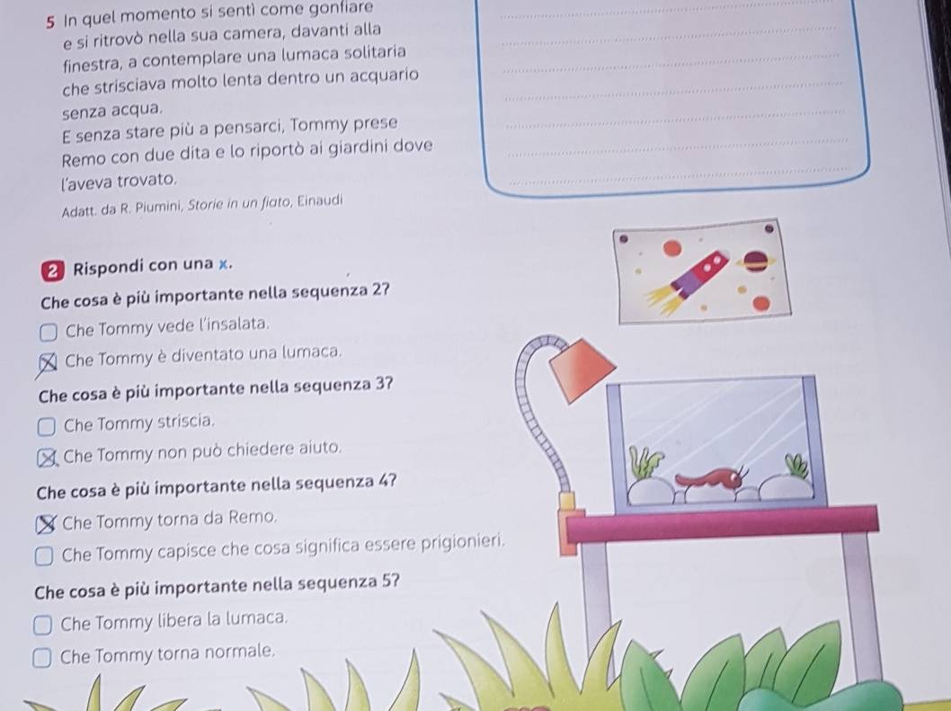 In quel momento si sentì come gonfiare
_
e si ritrovò nella sua camera, davanti alla_
finestra, a contemplare una lumaca solitaria_
che strisciava molto lenta dentro un acquario_
senza acqua.
_
E senza stare più a pensarci, Tommy prese
_
Remo con due dita e lo riportò ai giardini dove
l’aveva trovato.
_
Adatt. da R. Piumini, Storie in un ficto, Einaudi
2 Rispondi con una x.
Che cosa è più importante nella sequenza 27
Che Tommy vede l'insalata.
Che Tommy è diventato una lumaca.
Che cosa è più importante nella sequenza 3?
Che Tommy striscia.
Che Tommy non può chiedere aiuto.
Che cosa è più importante nella sequenza 47
Che Tommy torna da Remo.
Che Tommy capisce che cosa significa essere prigionieri.
Che cosa è più importante nella sequenza 57
Che Tommy libera la lumaca.
Che Tommy torna normale.