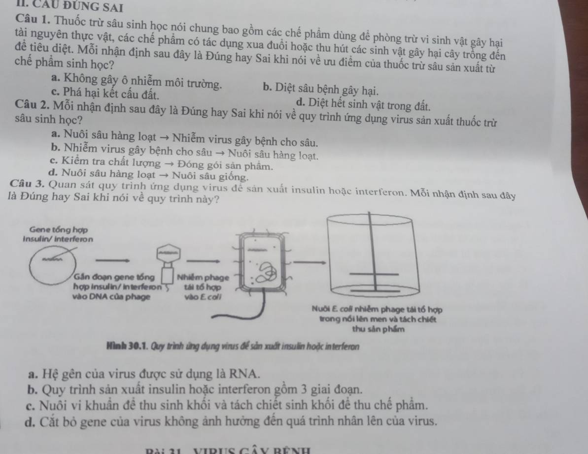 CAU ĐÚNG SAI
Câu 1. Thuốc trừ sâu sinh học nói chung bao gồm các chế phầm dùng để phòng trừ vi sinh vật gây hại
tài nguyên thực vật, các chế phẩm có tác dụng xua đuổi hoặc thu hút các sinh vật gây hại cây trồng đến
đề tiêu diệt. Mỗi nhận định sau đây là Đúng hay Sai khi nói về ưu điểm của thuốc trừ sâu sản xuất từ
chế phầm sinh học?
a. Không gây ô nhiễm môi trường. b. Diệt sâu bệnh gây hại.
c. Phá hại kết cấu đất. d. Diệt hết sinh vật trong đất.
Câu 2. Mỗi nhận định sau đây là Đúng hay Sai khi nói về quy trình ứng dụng virus sản xuất thuốc trừ
sâu sinh học?
a. Nuôi sâu hàng loạt → Nhiễm virus gây bệnh cho sâu.
b. Nhiễm virus gây bệnh cho sâu → Nuôi sâu hàng loạt.
c. Kiểm tra chất lượng → Đóng gói sản phâm.
d. Nuôi sâu hàng loạt → Nuôi sâu giống.
Câu 3. Quan sát quy trình ứng dụng virus để sản xuất insulin hoặc interferon. Mỗi nhận định sau đây
là Đúng hay Sai khi nói về quy trình này?
Hình 30.1. Quy trình ứng dụng virus để sản xuất insulin hoặc interferon
a. Hệ gên của virus được sử dụng là RNA.
b. Quy trình sản xuất insulin hoặc interferon gồm 3 giai đoạn.
c. Nuôi vi khuẩn đề thu sinh khối và tách chiết sinh khối để thu chế phẩm.
d. Cắt bỏ gene của virus không ảnh hưởng đến quá trình nhân lên của virus.
Bài 31 VIPuS Cân Rênh