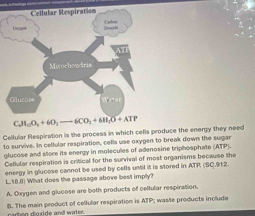 Cellular Respiration is the process in which cells produce the energy they need
to survive. In cellular respiration, cells use oxygen to break down the sugar
glucose and store its energy in molecules of adenosine triphosphate (ATP).
Cellular respiration is critical for the survival of most organisms because the
energy in glucose cannot be used by cells until it is stored in ATP (SC.912.
L.18.8) What does the passage above best imply?
A. Oxygen and glucose are both products of cellular respiration.
B. The main product of cellular respiration is ATP; waste products include
carbon dioxide and water.