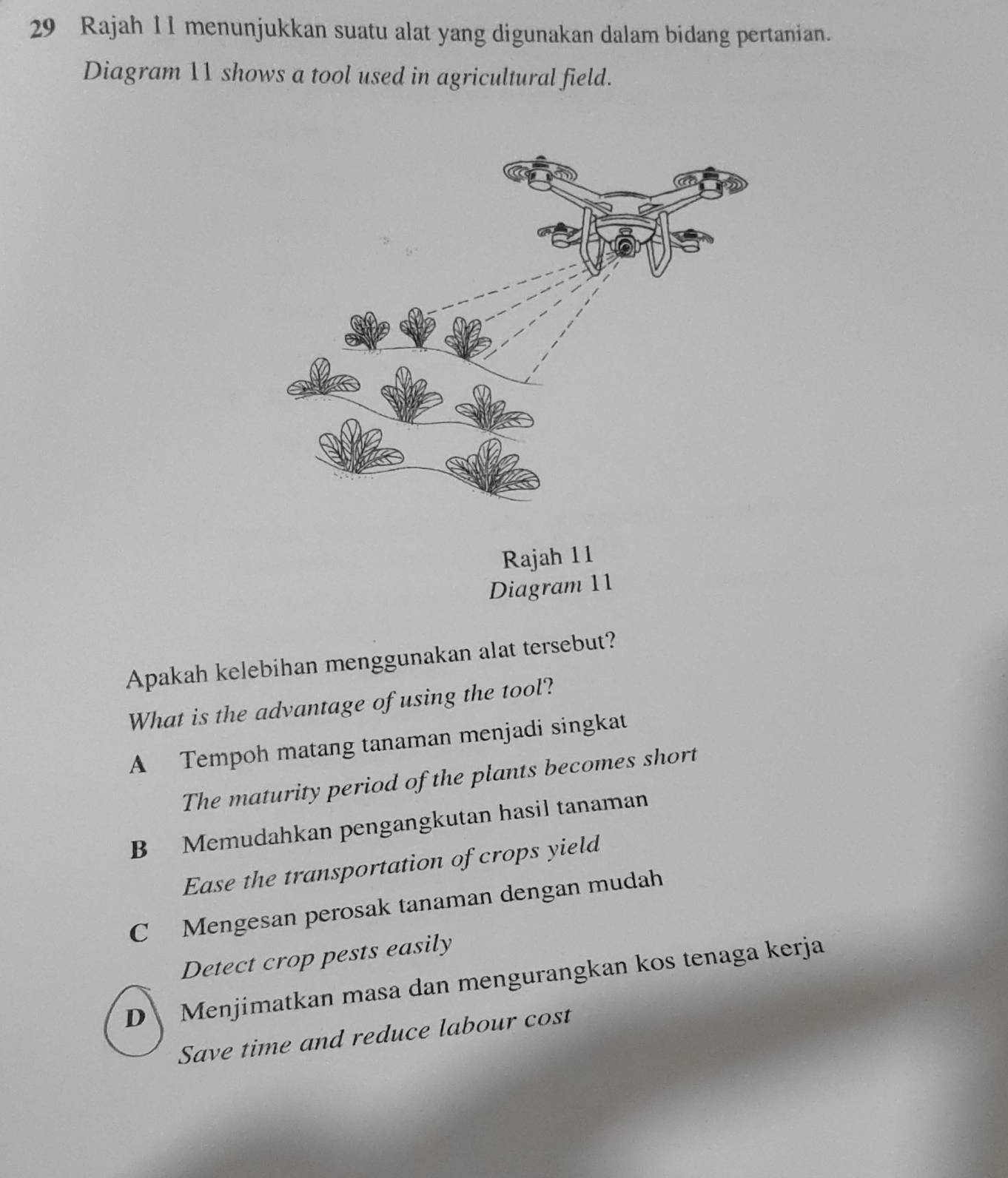 Rajah 11 menunjukkan suatu alat yang digunakan dalam bidang pertanian.
Diagram 11 shows a tool used in agricultural field.
Apakah kelebihan menggunakan alat tersebut?
What is the advantage of using the tool?
A Tempoh matang tanaman menjadi singkat
The maturity period of the plants becomes short
B Memudahkan pengangkutan hasil tanaman
Ease the transportation of crops yield
C Mengesan perosak tanaman dengan mudah
Detect crop pests easily
DMenjimatkan masa dan mengurangkan kos tenaga kerja
Save time and reduce labour cost