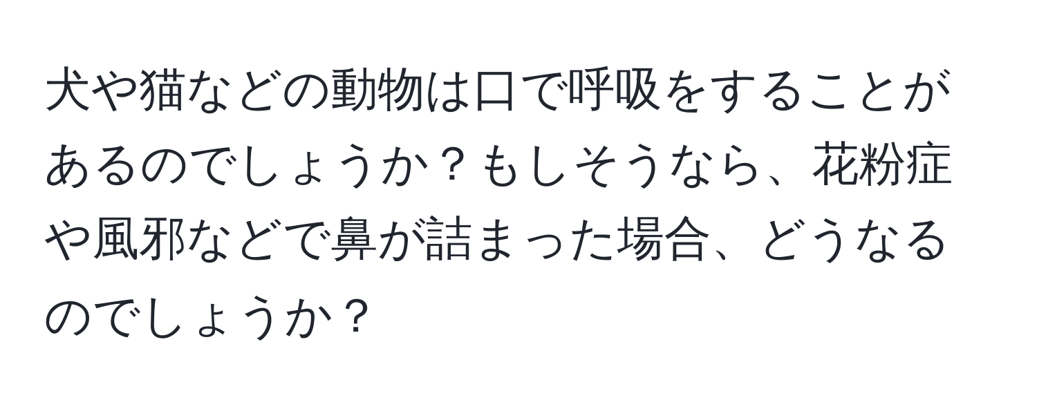 犬や猫などの動物は口で呼吸をすることがあるのでしょうか？もしそうなら、花粉症や風邪などで鼻が詰まった場合、どうなるのでしょうか？