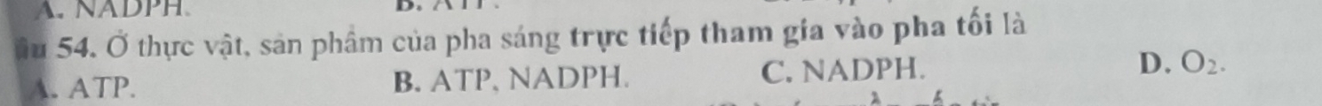 A. NADPH
Ds
âu 54. Ở thực vật, sản phẩm của pha sáng trực tiếp tham gia vào pha tối là
A. ATP. B. ATP, NADPH. C. NADPH. D. O_2.