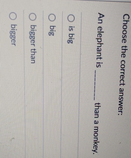 Choose the correct answer:
An elephant is _than a monkey.
is big
big
bigger than
bigger