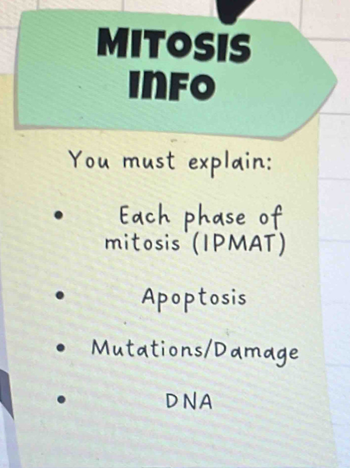 MITOSIS 
info 
nitosis