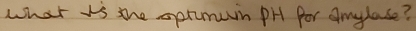 what is the sprmuin PH for Amylase?