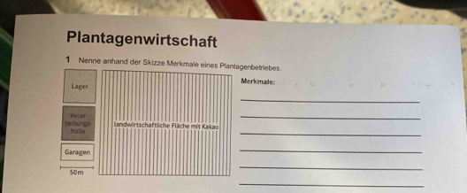 Plantagenwirtschaft 
1 Nenne anhand der Skizze Merkmale eines Plantagenbetriebes. 
Merkmale: 
Lager 
_ 
beitungs Verar 
_ 
_ 
halle landwirtschaftliche Fläche mit Kakao 
Garagen 
_
50m
_ 
_