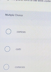 To the term corfe
Multiple Choice
cortices
corti
corteces