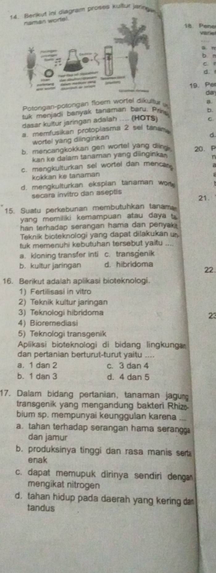 Berikut ini diagram proses kultur jarinea
naman worel.
18. Pene
varie
a.m
bn
c r
d 
19. Per
day
Potongan-potongan floem wortel dikultur u
a.
tuk menjadi banyak tanaman baru. Prine
b.
dasar kultur jaringan adalah .... (HOTS)
C.
a. memfusikan protoplasma 2 sel tanan
wortel yang diinginkan
d.
b. mencangkokkan gen wortel yang diing 20. P
kan ke dalam tanaman yang diinginka
n
c. mengkulturkan sel wortel dan menca a
kokkan ke tanaman
d. mengkulturkan ekspian tanaman wor
secara invitro dan aseptis
21
15. Suatu perkebunan membutuhkan tanam
yang memiliki kemampuan atau daya t
han terhadap serangan hama dan penyak 
Teknik bioteknologi yang dapat dilakukan un
tuk memenuhi kebutuhan tersebut yaitu ....
a. kloning transfer inti c. transgenik
b. kultur jaringan d. hibridoma
22.
16. Berikut adalah aplikasi bioteknologi.
1) Fertilisasi in vitro
2) Teknik kultur jaringan
3) Teknologi hibridoma
23
4) Bioremediasi
5) Teknologi transgenik
Aplikasi bioteknologi di bidang lingkunga
dan pertanian berturut-turut yaitu ....
a. 1 dan 2 c. 3 dan 4
b. 1 dan 3 d. 4 dan 5
17. Dalam bidang pertanian, tanaman jagung
transgenik yang mengandung bakteri Rhiz
bium sp. mempunyai keunggulan karena_
a tahan terhadap serangan hama serangg
dan jamur
b. produksinya tinggi dan rasa manis set
enak
c. dapat memupuk dirinya sendiri denga
mengikat nitrogen
d. tahan hidup pada daerah yang kering da 
tandus