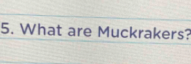 What are Muckrakers?