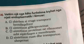 Vetëm një nga këto funksione kryhet nga me
rrjeti endoplazmatik i lëmuar:
nin
A. □ shërben si rrugë transporti
brendaqelizor
B. □ sintetizon glikoproteinat
C. □ sintetizon proteinat në ribozomet a
mbi sipërfaqen e membranës
D. □ sintetizon ruan dhe transporton
sheqernat