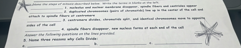 Name the steps of mitosis described below. Write the terms in blanks at the left. 
_1. nucleolus and nuclear membrane disappear, spindle fibers and centrioles appear 
_2. duplicated chromosomes (pairs of chromatids) line up in the center of the cell and 
attach to spindle fibers at centromere 
_3. centromere divides, chromatids split, and identical chromosomes move to opposite 
sides of the cell 
_4. spindle fibers disappear, new nucleus forms at each end of the cell 
Answer the following questions on the lines provided. 
5. Name three reasons why Cells Divide: 
_b._ 
c._ 
a .