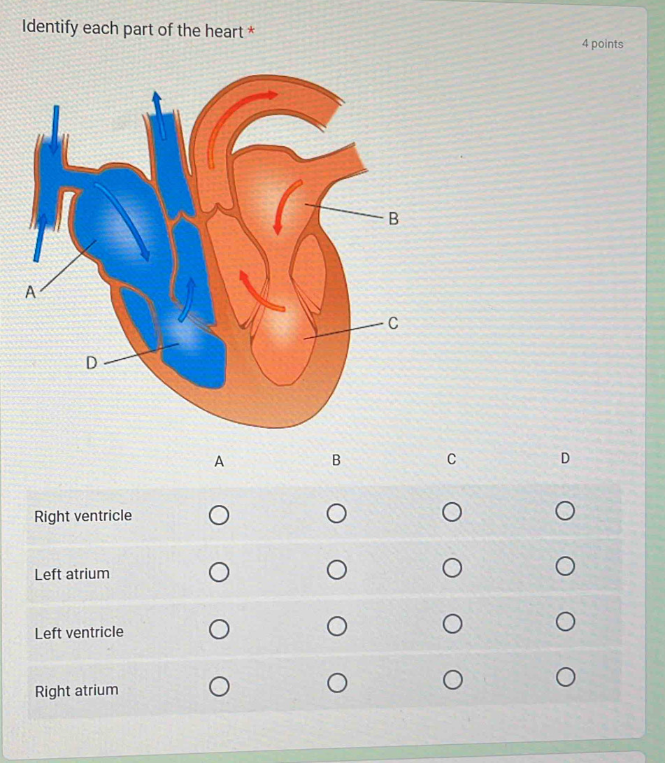 Identify each part of the heart * 
4 points