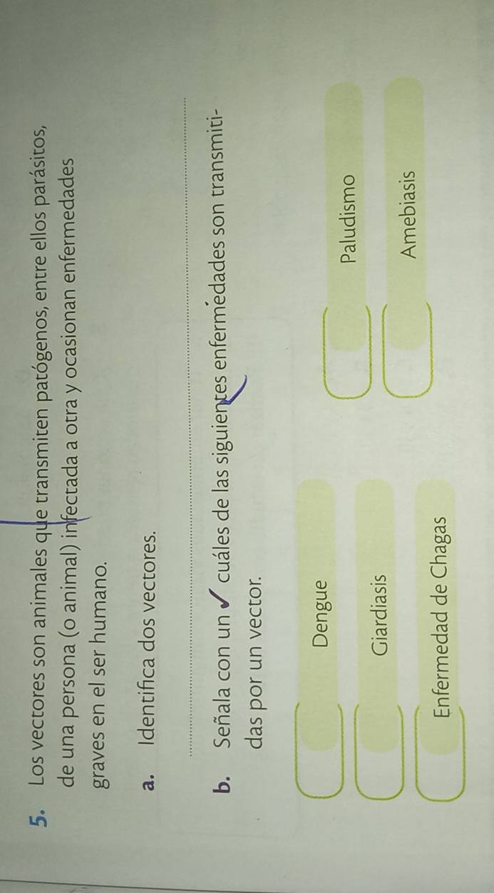 Los vectores son animales que transmiten patógenos, entre ellos parásitos,
de una persona (o animal) infectada a otra y ocasionan enfermedades
graves en el ser humano.
a. Identifica dos vectores.
b. Señala con un cuáles de las siguientes enfermedades son transmiti-
das por un vector.
Dengue
Paludismo
Giardiasis
Amebiasis
Enfermedad de Chagas