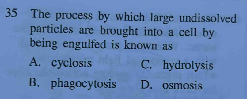 The process by which large undissolved
particles are brought into a cell by
being engulfed is known as
A. cyclosis C. hydrolysis
B. phagocytosis D. osmosis