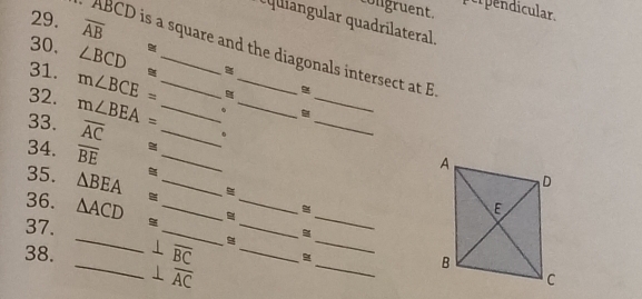 tolgruent. e pendicular 
29. overline AB
quiangular quadrilateral. 
30.
ABCD is a square and the diagonals intersect at E
31. ∠ BCD _ 
32. m∠ BCE= __ 

33. m∠ BEA= _._ 
_
overline AC _、 
_ 
34. overline BE
_ 
35. △ BEA _ 
36. △ ACD _ 
_ 
37. 
_ 
_ 
_ 
_ 
38. _⊥ overline BC __ 
⊥ overline AC
_