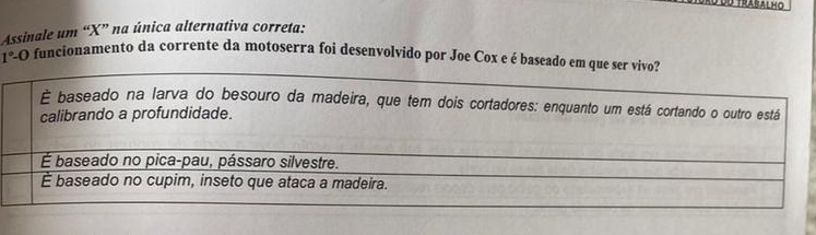 Assinale um “ X ” na única alternativa correta:
1°-O funcionamento da corrente da motoserra foi desenvolvido por Joe Cox e é baseado em que