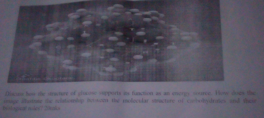 Discuss how the structure of glucose supports its function as an energy source. How does the 
image illustrate the relationship between the molecular structure of carbohydrates and their 
biological roles? 20mks