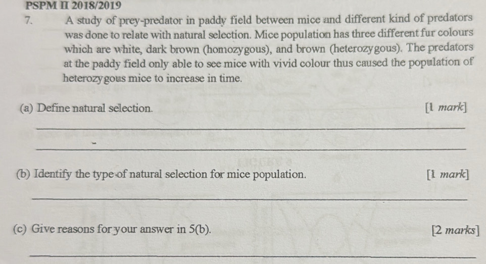 PSPM II 2018/2019 
7. A study of prey-predator in paddy field between mice and different kind of predators 
was done to relate with natural selection. Mice population has three different fur colours 
which are white, dark brown (homozygous), and brown (heterozygous). The predators 
at the paddy field only able to see mice with vivid colour thus caused the population of 
heterozygous mice to increase in time. 
(a) Define natural selection. [l mark] 
_ 
_ 
(b) Identify the type of natural selection for mice population. [I mark] 
_ 
(c) Give reasons for your answer in 5(b) [2 marks] 
_