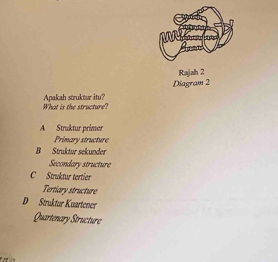 Ma
Rajah 2
Diagram 2
Apakah struktur itu?
What is the structure?
A Struktur primer
Primary structure
B Struktur sekunder
Secondary structure
C Struktur tertier
Tertiary structure
D Struktur Kuartener
Quartenary Structure