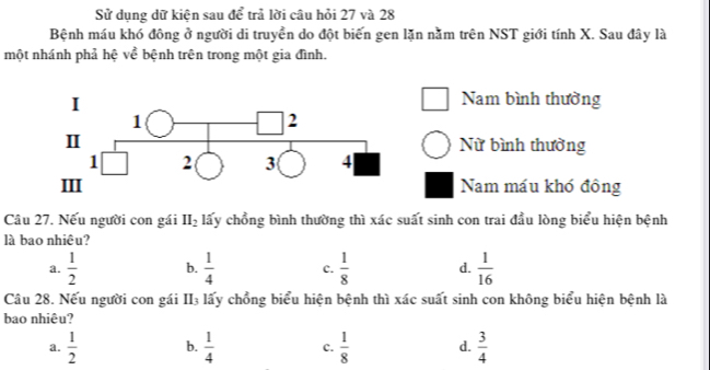 Sử dụng dữ kiện sau để trả lời câu hỏi 27 và 28
Bệnh máu khó đông ở người di truyền do đột biến gen lặn nằm trên NST giới tính X. Sau đây là
một nhánh phả hệ về bệnh trên trong một gia đình.
Nam bình thường
Nữ bình thưởng
Nam máu khó đông
Câu 27. Nếu người con gái II_2 lấy chồng bình thường thì xác suất sinh con trai đầu lòng biểu hiện bệnh
là bao nhiêu?
a.  1/2  b.  1/4  c.  1/8  d.  1/16 
Câu 28. Nếu người con gái II3 lấy chồng biểu hiện bệnh thì xác suất sinh con không biểu hiện bệnh là
bao nhiêu?
a.  1/2  b.  1/4  c.  1/8  d.  3/4 