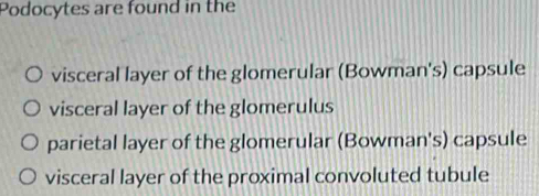 Podocytes are found in the
visceral layer of the glomerular (Bowman's) capsule
visceral layer of the glomerulus
parietal layer of the glomerular (Bowman's) capsule
visceral layer of the proximal convoluted tubule