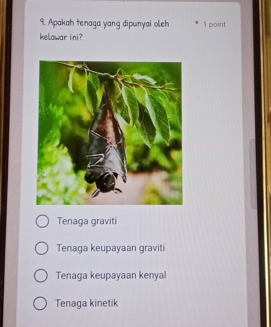 Apakah tenaga yang dipunyai oleh 1 point
*
kelawar ini?
Tenaga graviti
Tenaga keupayaan graviti
Tenaga keupayaan kenyal
Tenaga kinetik