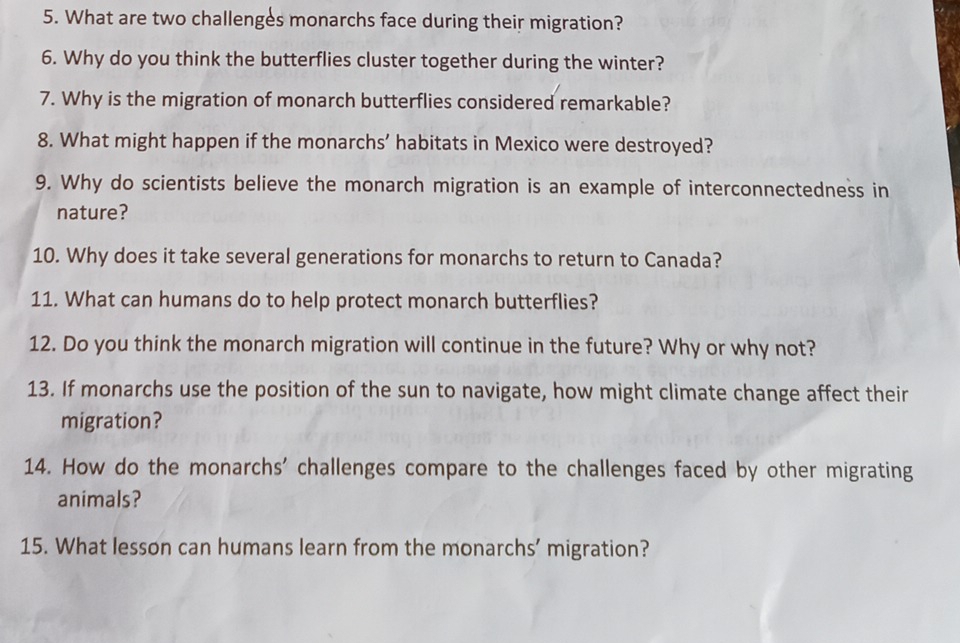 What are two challenges monarchs face during their migration? 
6. Why do you think the butterflies cluster together during the winter? 
7. Why is the migration of monarch butterflies considered remarkable? 
8. What might happen if the monarchs’ habitats in Mexico were destroyed? 
9. Why do scientists believe the monarch migration is an example of interconnectedness in 
nature? 
10. Why does it take several generations for monarchs to return to Canada? 
11. What can humans do to help protect monarch butterflies? 
12. Do you think the monarch migration will continue in the future? Why or why not? 
13. If monarchs use the position of the sun to navigate, how might climate change affect their 
migration? 
14. How do the monarchs' challenges compare to the challenges faced by other migrating 
animals? 
15. What lesson can humans learn from the monarchs' migration?