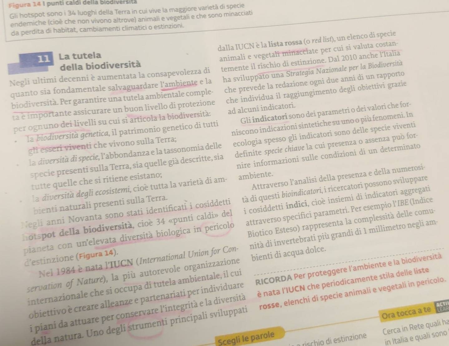 Figura 14 I punti caldi della biodiversitá
Gli hotspot sono i 34 luoghi della Terra in cui vive la maggiore varietà di specie
endemiche (cioè che non vivono altrove) animali e vegetali e che sono minacciati
da perdita di habitat, cambiamenti climatici o estinzioni.
dalla IUCN è la lista rossa (o red list), un elenco di specie
11 La tutela
animali e vegetali minacciate per cui si valuta costan-
della biodiversità
Negli ultimi decenni è aumentata la consapevolezza di temente il rischio di estinzione. Dal 2010 anche l’Italia
quanto sia fondamentale salvaguardare l’ambiente e la ha sviluppato una Strategia Nazionale per la Biodiversità
biodiversità. Per garantire una tutela ambientale comple- che prevede la redazione ogni due anni di un rapporto
ta e importante assicurare un buon livello di protezione che individua il raggiungimento degli obiettivi grazie
per ognuno dei livelli su cui si articola la biodiversità: ad alcuni indicatori.
la biodiversità genetica, il patrimonio genetico di tutti Gli indicatori sono dei parametri o dei valori che for-
gli esseri viventi che vivono sulla Terra; niscono indicazioni sintetiche su uno o più fenomeni. In
la diversità di specie, l’abbondanza e la tassonomia delle ecologia spesso gli indicatori sono delle specie viventi
specie presenti sulla Terra, sia quelle già descritte, sia definite specie chiave la cui presenza o assenza può for-
tutte quelle che si ritiene esistano; nire informazioni sulle condizioni di un determinato
la diversità degli ecosistemi, cioè tutta la varietà di am- ambiente.
bienti naturali presenti sulla Terra. Attraverso l’analisi della presenza e della numerosi-
Negli anni Novanta sono stati identificati i cosiddetti tà di questi biøindicatori, i ricercatori possono sviluppare
hotspot della biodiversità, cioè 34 «punti caldi» del i cosiddetti indici, cioè insiemi di indicatori aggregati
pianeta con unelevata diversità biologica in pericolo attraverso specifici parametri. Per esempio l’IBE (Indice
d’estinzione (Fígura 14). Biotico Esteso) rappresenta la complessità delle comu-
Nel 1984 è nata l’IUCN (International Union for Con- nità di invertebrati più grandi di 1 millimetro negli am-
servation of Nature), la più autorevole organizzazione bienti di acqua dolce.
obiettivo è creare alleanze e partenariati per individuare RICORDA Per proteggere l'ambiente e la biodiversità
internazionale che si occupa di tutela ambientale, il cui
i piani da attuare per conservare l’integrità e la diversità è nata l'IUCN che periodicamente stila delle liste
ACTI
della natura. Uno degli strumenti principali sviluppati rosse, elenchi di specie animali e vegetali in pericolo.
Scegli le parole Ora tocca a te
11
rischio di estinzione Cerca in Rete quali ha
in Italia e quali sono