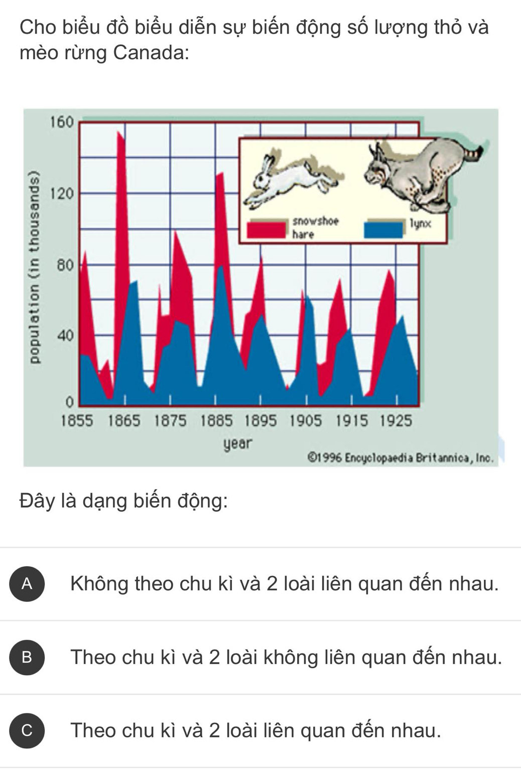 Cho biểu đồ biểu diễn sự biến động số lượng thỏ và
mèo rừng Canada:
Đây là dạng biến động:
A Không theo chu kì và 2 loài liên quan đến nhau.
B Theo chu kì và 2 loài không liên quan đến nhau.
Theo chu kì và 2 loài liên quan đến nhau.