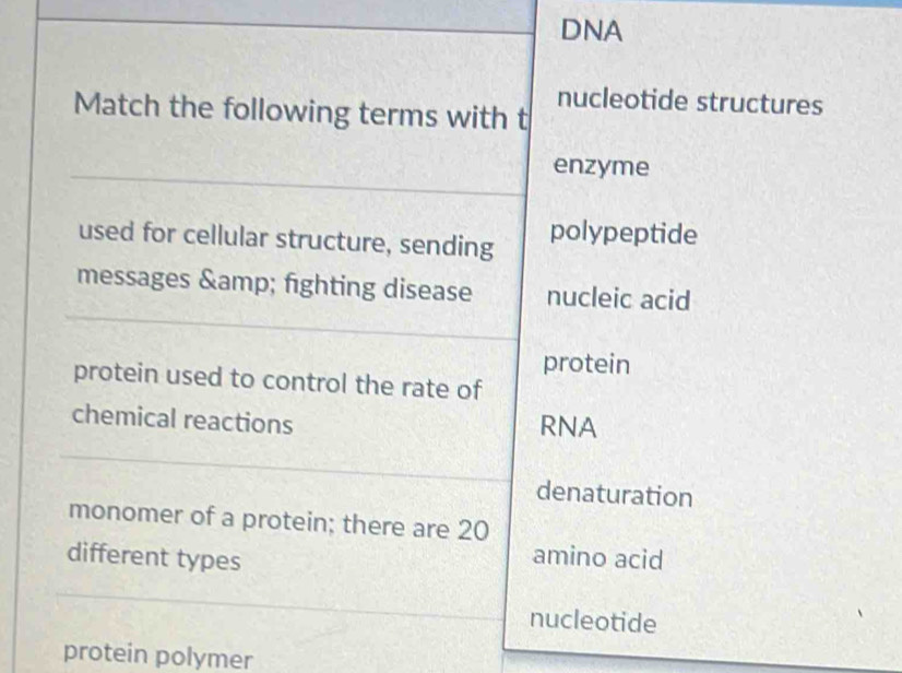 DNA 
ctures 
protein polymer