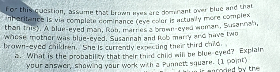 For this question, assume that brown eyes are dominant over blue and that 
inheritance is via complete dominance (eye color is actually more complex 
than this). A blue-eyed man, Rob, marries a brown-eyed woman, Susannah, 
whose mother was blue-eyed. Susannah and Rob marry and have two 
brown-eyed children. She is currently expecting their third child. 
a. What is the probability that their third child will be blue-eyed? Explain 
your answer, showing your work with a Punnett square. (1 point) 
is encoded by the .