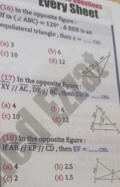 Questions
Every Sheet
(16) In the opposite figure :
If m(∠ ABC)=120°, △ BDE
is an
equilateral triangle , then x= _  +1++ cm.
(a) 3 (b) 6
(c) 10 (d) 12
(17) In the opposite figure :
overline XY//overline AC, overline DE//overline BC , then DB= _ cm.
(a) 4
(b) 6
(c) 10 (d) 12
(18) In the opposite figure :
If overline ABparallel overline EFparallel overline CD , then EF=...cm _
(a) 4 (b) 2.5
(c) 2 (d) 1.5