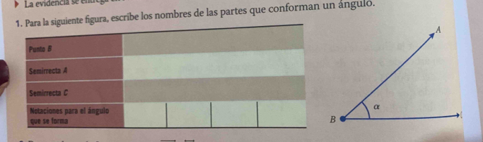 La evidencia se entre 
iente figura, escribe los nombres de las partes que conforman un ángulo.