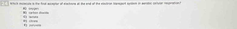 Which molecule is the final acceptor of electrons at the end of the electron transport system in aerobic cellular respiration?
A) oxygen
B) carbon dioxide
C) lactate
D)citrate
E) pyruvate