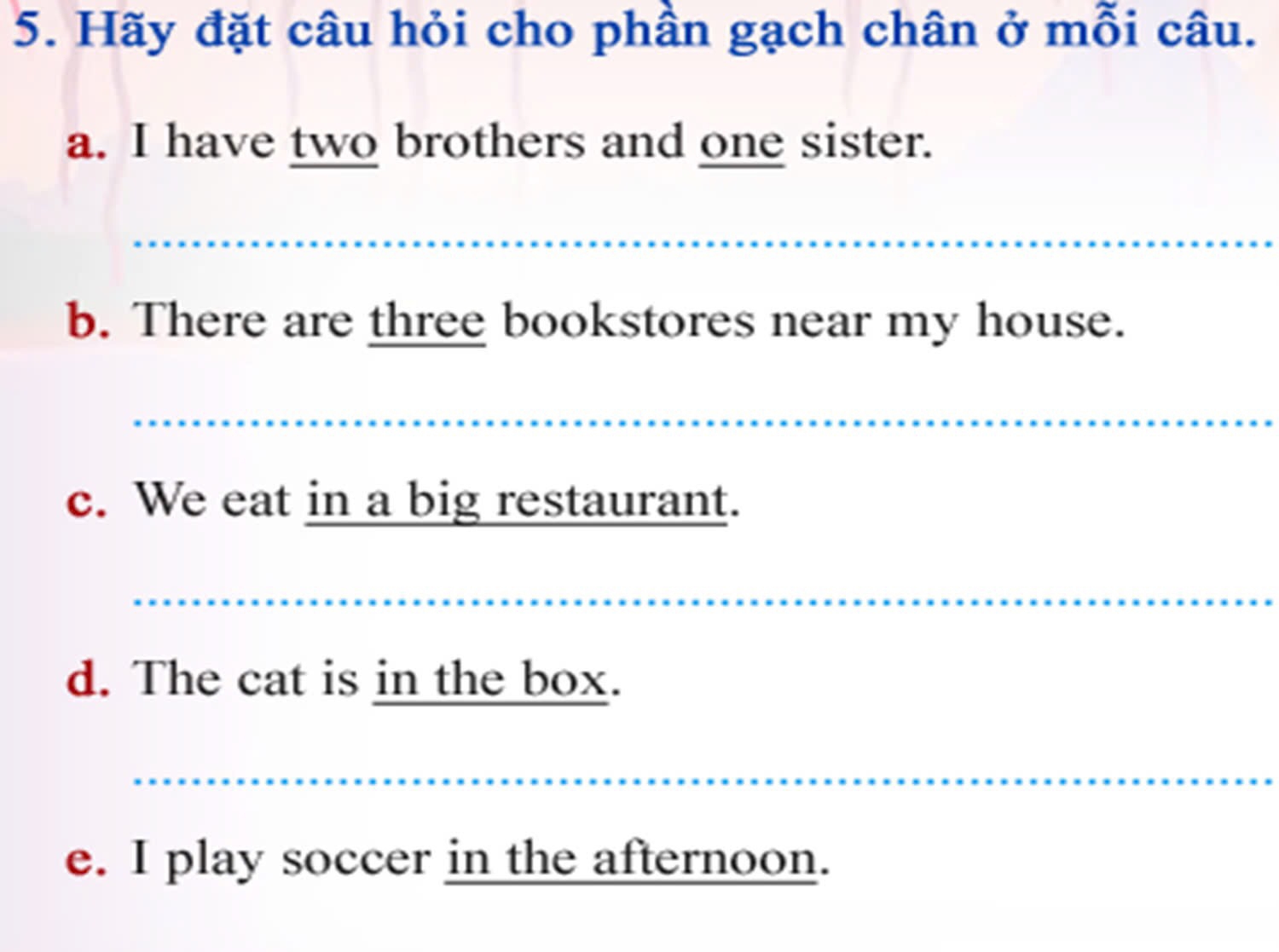 Hãy đặt câu hỏi cho phần gạch chân ở mỗi câu.
a. I have two brothers and one sister.
b. There are three bookstores near my house.
c. We eat in a big restaurant.
d. The cat is in the box.
e. I play soccer in the afternoon.