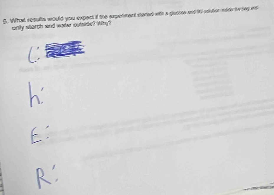 What results would you expect if the expetiment staried with a gluesse and 1l sodon node the begard 
only starch and water outside? Why?