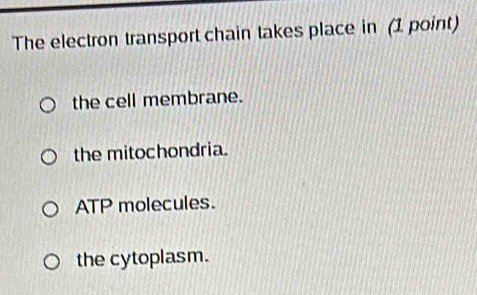 The electron transport chain takes place in (1 point)
the cell membrane.
the mitochondria.
ATP molecules.
the cytoplasm.