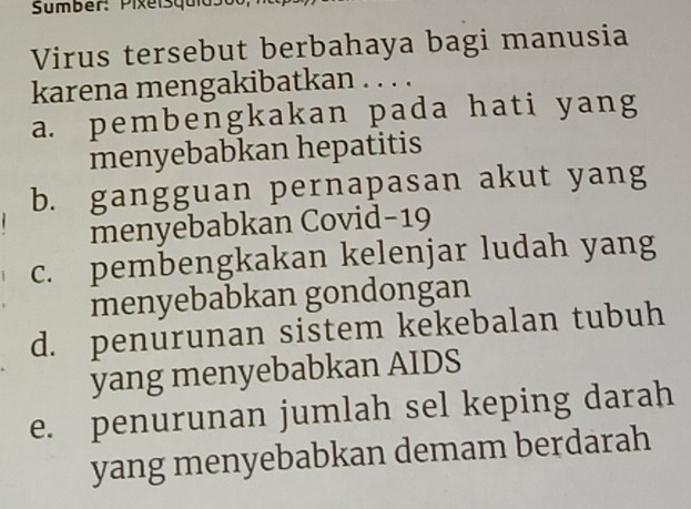 Sumber: Pixeisquio
Virus tersebut berbahaya bagi manusia
karena mengakibatkan . . . .
a. pembengkakan pada hati yang
menyebabkan hepatitis
b. gangguan pernapasan akut yang
menyebabkan Covid-19
c. pembengkakan kelenjar ludah yang
menyebabkan gondongan
d. penurunan sistem kekebalan tubuh
yang menyebabkan AIDS
e. penurunan jumlah sel keping darah
yang menyebabkan demam berdarah